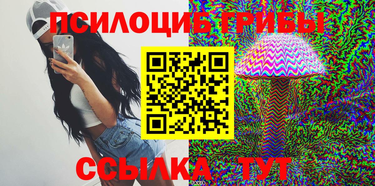 Галлюциногенные грибы Psilocybine cubensis Полевской
