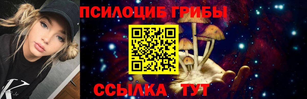 Полевской  Галлюциногенные грибы мухоморы  Вход с VPN 